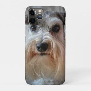 Funda Para iPhone 11 Pro Cara del perro Schnauzer