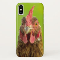 Cara divertida del pollo en verde