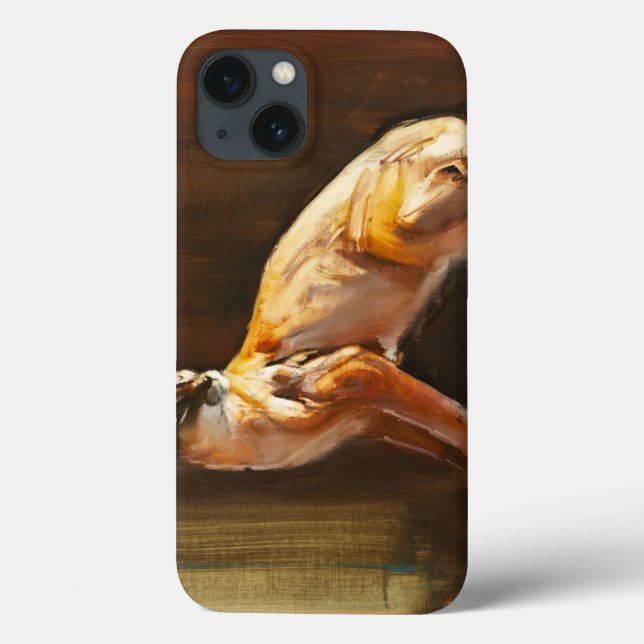 Funda De Case-Mate Para iPhone Caracal árabe 2010 (Reverso)