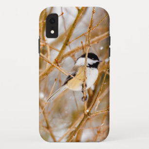 Funda Para iPhone XR Carbonero Capiblanco - Fotografía Original