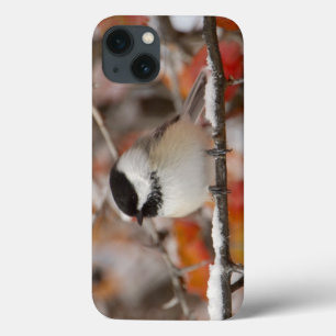 Funda Para iPhone 13 Carbonero Común adulto en la nieve