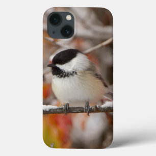 Funda Para iPhone 13 Carbonero Común adulto en la nieve
