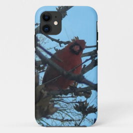 Funda Para iPhone 11 Cardenal 