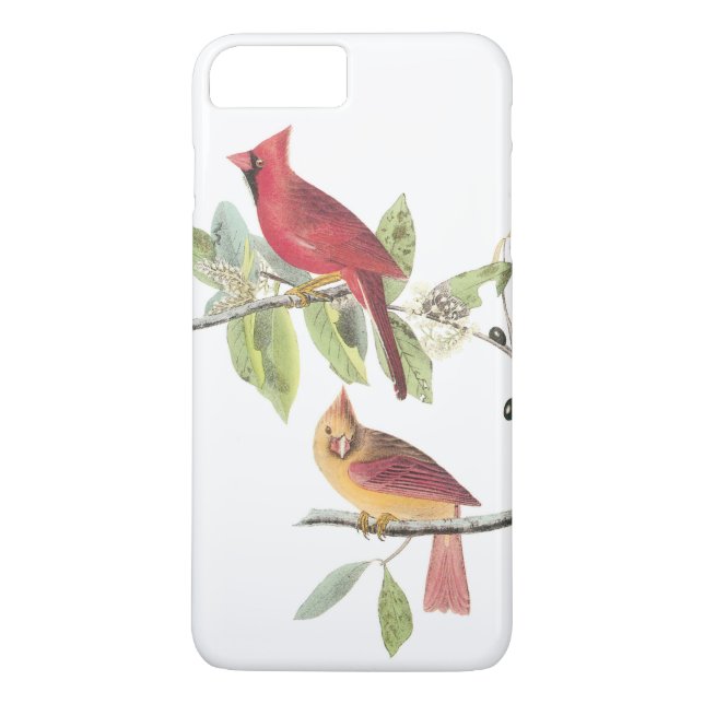 Funda De Case-Mate Para iPhone Cardenal del norte por Audubon (Reverso)