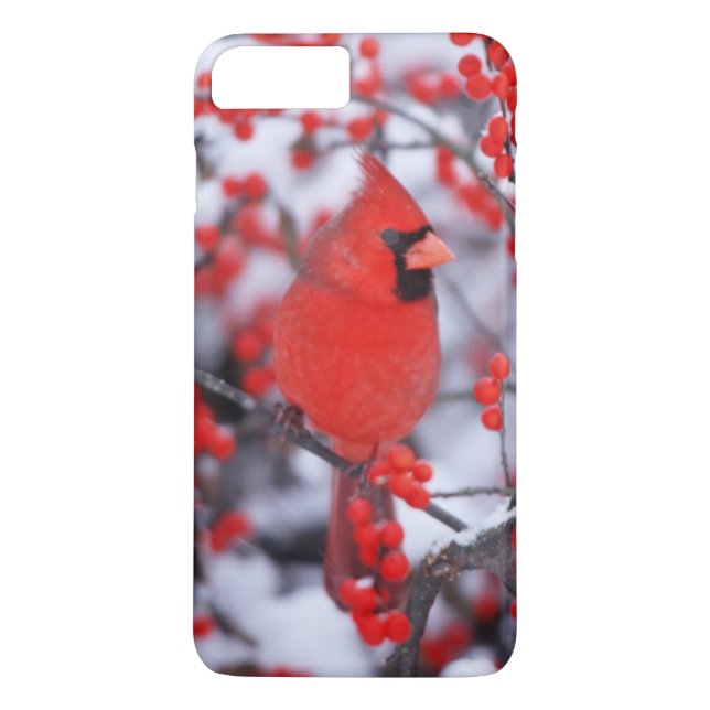 Funda De Case-Mate Para iPhone Cardenal norteño macho, Invierno, IL (Reverso)