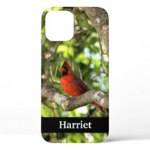 Cardenal rojo en árbol personalizado