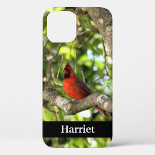 Funda Para iPhone 12 Cardenal rojo en árbol personalizado
