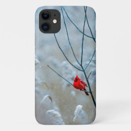 Funda Para iPhone 11 Cardenal rojo en Navidades de fotografía de natura