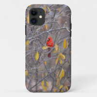 Cardenal rojo Pájaro otoño estuche para teléfono d