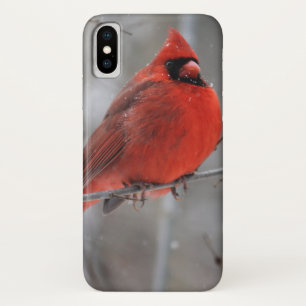 Funda Para iPhone X Cardenal rojo vivo y brillante en nieve de inviern