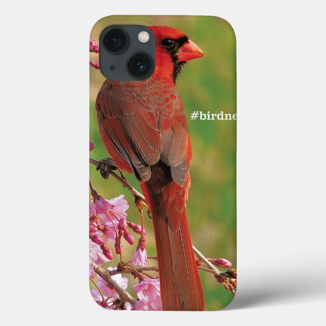 Funda De Case-Mate Para iPhone Cardenal septentrional (Reverso)