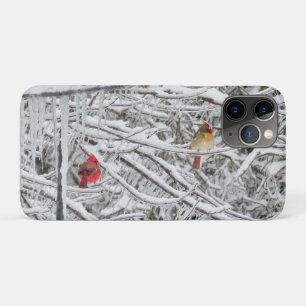 Funda Para iPhone 11 Pro Cardenales