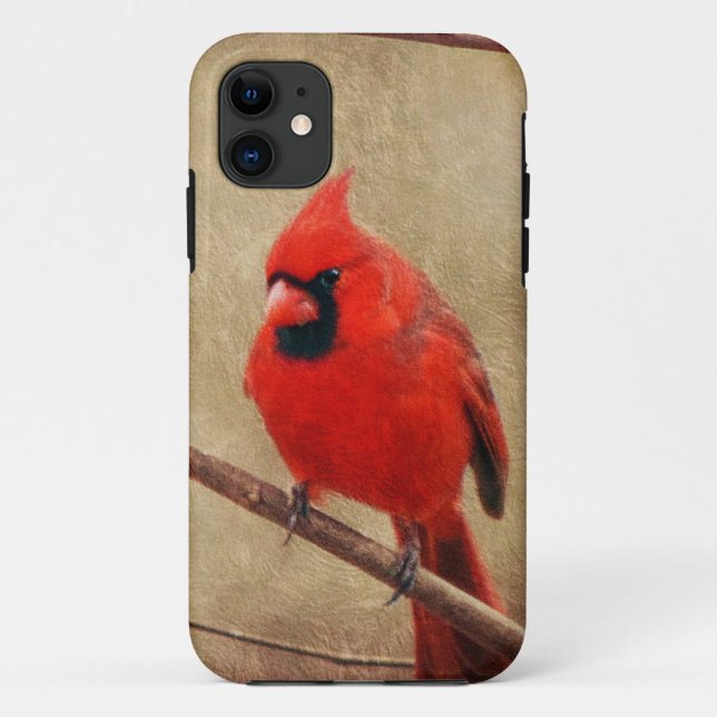 Funda De Case-Mate Para iPhone Cardinal (Reverso)