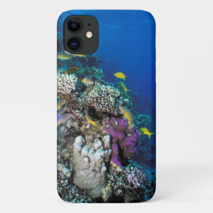 Funda Para iPhone 11 Cardumen de salmonetes alrededor de pequeño coral