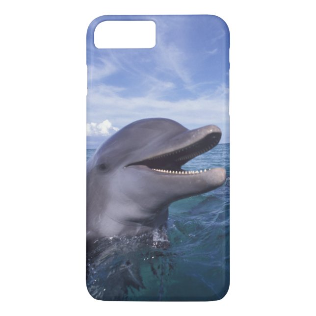 Funda De Case-Mate Para iPhone Caribe, delfín mular (Reverso)