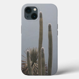Funda Para iPhone 13 Caribeño Cactus Grove Charm 1 #art #tropical