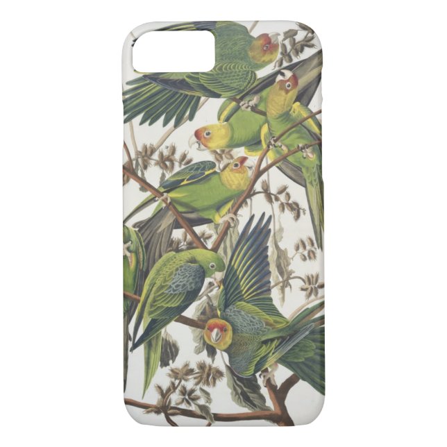 Funda De Case-Mate Para iPhone Carolina Parakeet, de 'Birds of America', 1829 (Reverso)