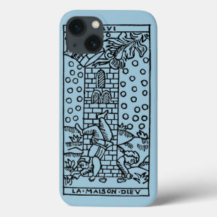 title_seo2 Carta de tarot: El manicomio