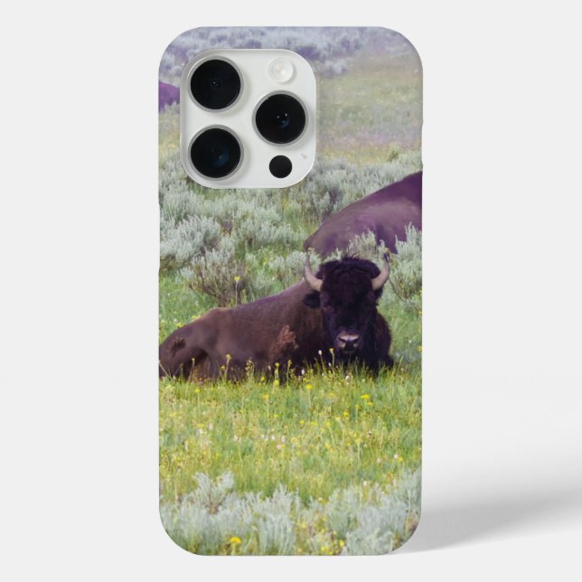 Funda De Case-Mate Para iPhone Cartera de teléfono Bison Dreams (Reverso )
