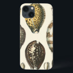 title_seo2 Cascos marinos de forma única<br><div class="desc">¡Pónganse en la cálida arena y descubra los tesoros escondidos! Esta pintura de Kobeit, captura la bella vida acuática que se encuentra en la costa. Kobeit capta una hermosa colección de conchas marinas de tono sepia en un tono vintage. Consigue tu hermoso arte oceánico hoy en tu próximo producto Zazzle....</div>