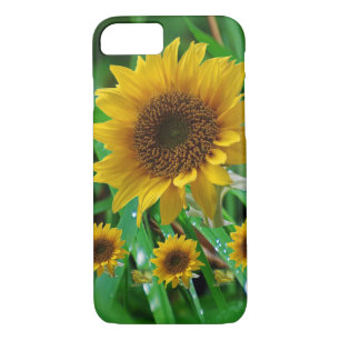 title_seo2 Cases de IPhone girasoles