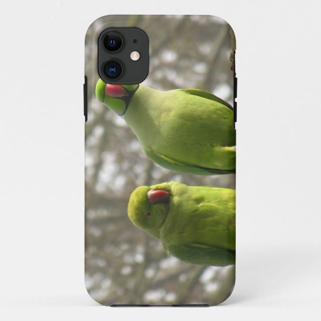 Funda De Case-Mate Para iPhone caso del iPhone 5 con los parakeets curiosos (Reverso)