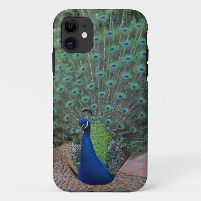 Funda De Case-Mate Para iPhone Caso del iPhone 5 del pavo real (Reverso)