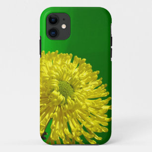title_seo2 caso del iphone 5s