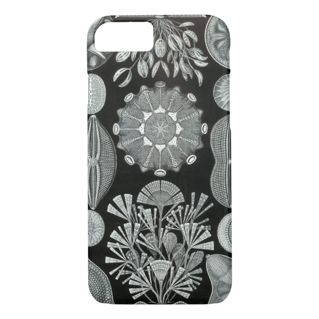 Funda De Case-Mate Para iPhone Caso del iPhone 7 de Haeckel - Diatomea (Reverso)