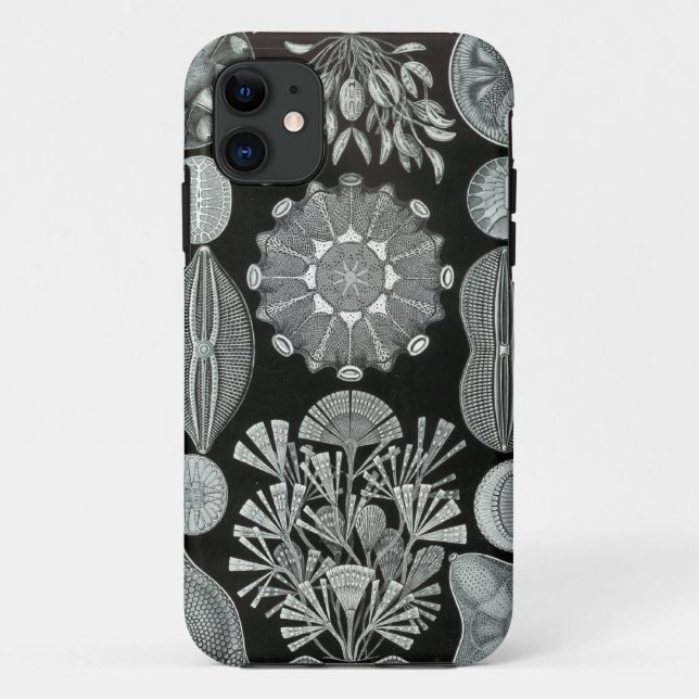 Funda De Case-Mate Para iPhone Caso del iPhone de Haeckel - Diatomea (Reverso)