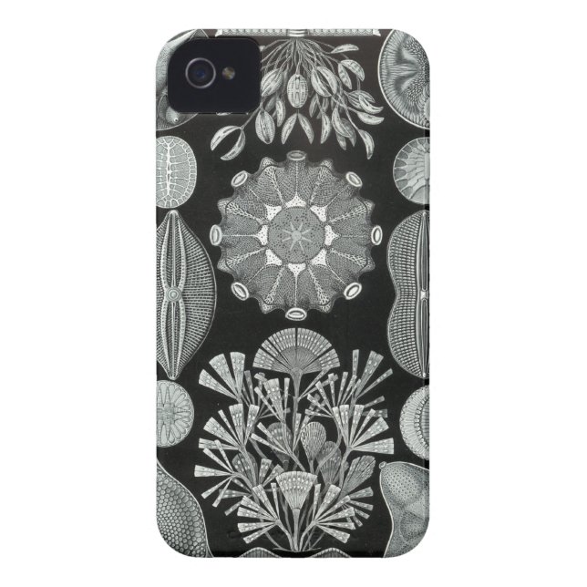 Funda De Case-Mate Para iPhone Caso del iPhone de Haeckel - Diatomea (Atrás)