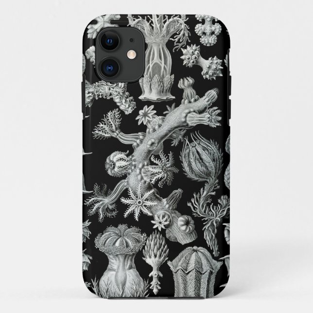 Funda De Case-Mate Para iPhone Caso del iPhone de Haeckel - Gorgonida (Reverso)