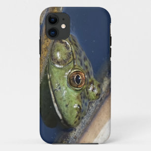 Funda Para iPhone 11 Caso del iPhone de la rana mugidora