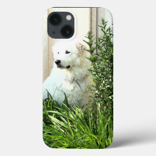 Funda Para iPhone 13 Caso del iPhone X de la raza del perro de los