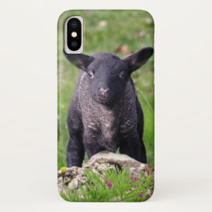 title_seo2 Caso del iPhone X de las ovejas negras del Baa del