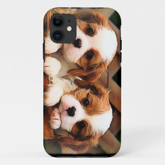 title_seo2 Caso del perrito