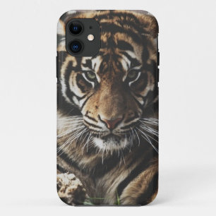 Funda Para iPhone 11 Caso del tigre