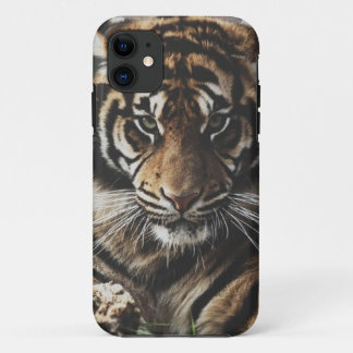 Funda Para iPhone 11 Caso del tigre