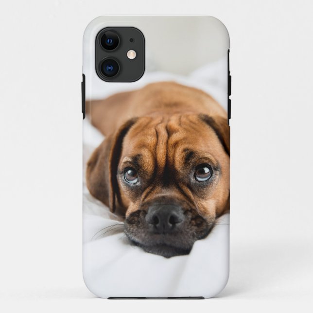 Funda De Case-Mate Para iPhone Caso lindo del perro de Puggle (Reverso)