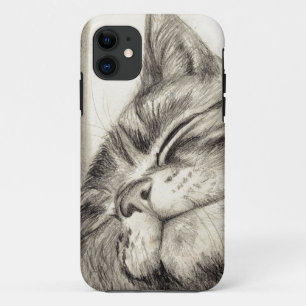 title_seo2 caso scritching del iPhone 5 del gato de tabby