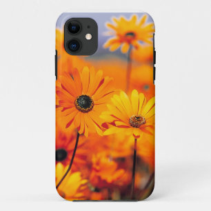 title_seo2 Caso universal de Iphone 5 florales