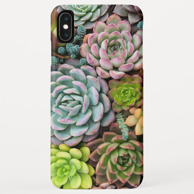 Funda De Case-Mate Para iPhone Casos de teléfono Cactus Succulens (Reverso)