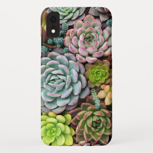 Funda De Case-Mate Para iPhone Casos de teléfono Cactus Succulens (Reverso)