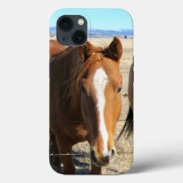 Funda Para iPhone 13 Casos de teléfono de caballo