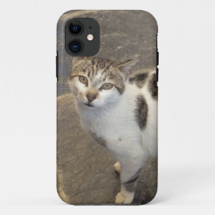 title_seo2 Cat iPhone 5 funda-mate