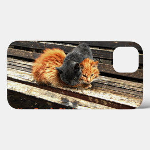 Funda Para iPhone 13 Catnap Cuties