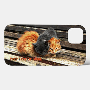 Funda Para iPhone 13 Catnap Cuties
