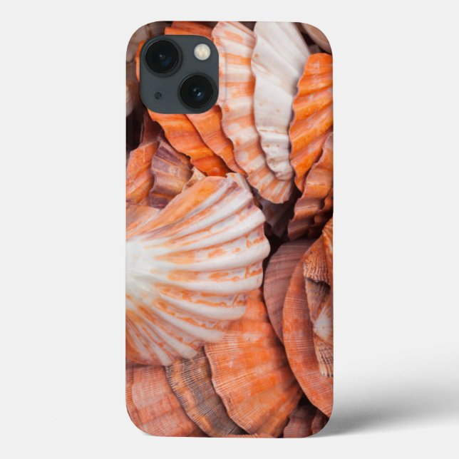Funda De Case-Mate Para iPhone Cayos de Florida, Key West, conchas marinas (Reverso)