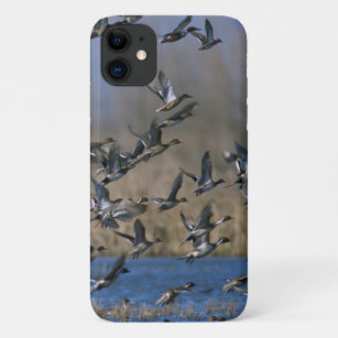 Funda Para iPhone 11 Caza de pato - Patos Pintail volando