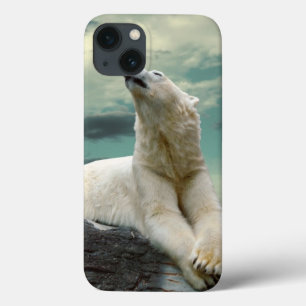Funda Para iPhone 13 Cazador de oso polar blanco sobre roca